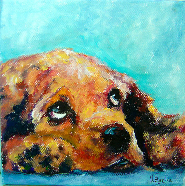 cachorro 3