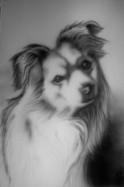 Nuestro perro Jack