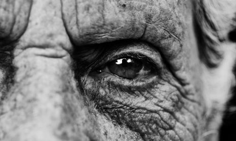 Retratos