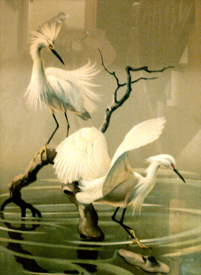 LAS AVES DE AGUA "HERONS" Mixed media Paper Animals