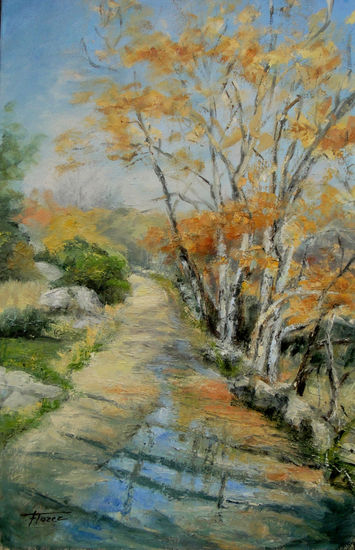 Un charco en el camino Oil Canvas Landscaping