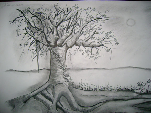 primavera