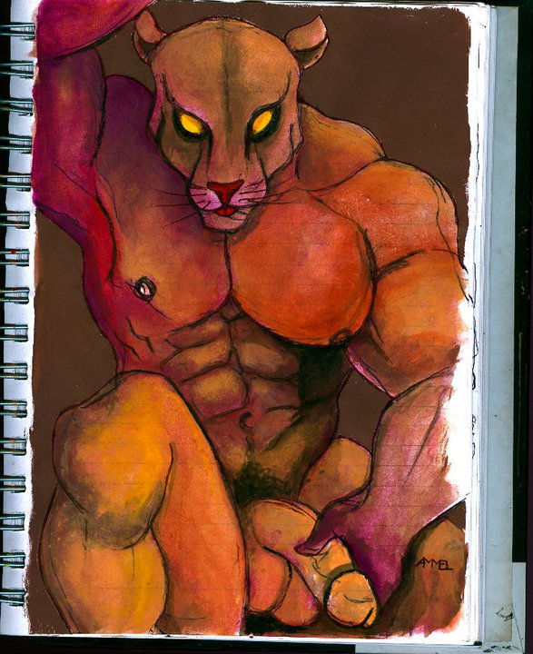 gato