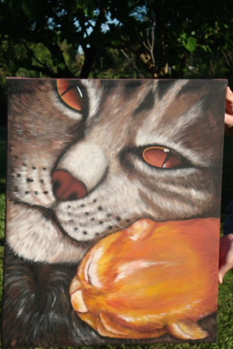gatos