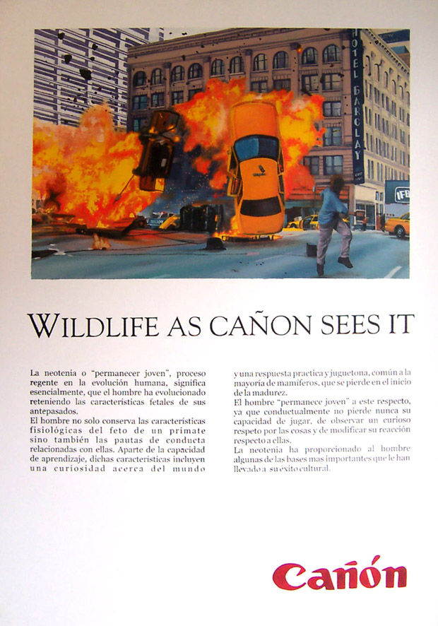 WILDLIFE 01