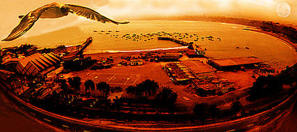 La Gaviota