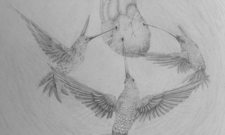 DIBUJO