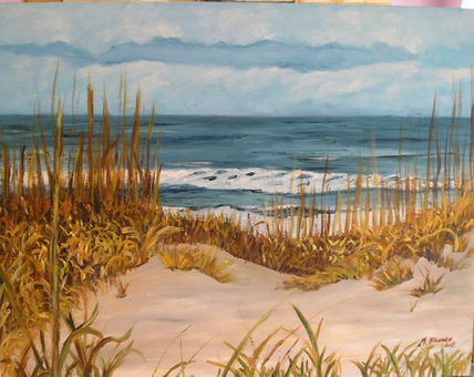 Playa salvaje