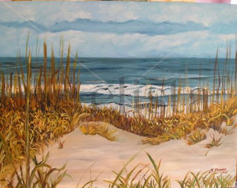 Playa salvaje