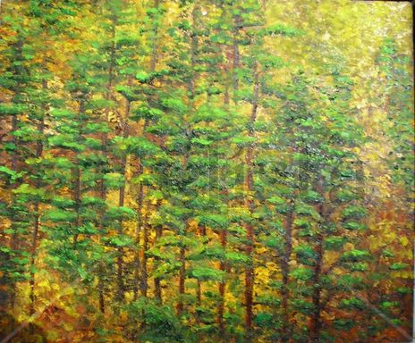 Paisaje con pinos