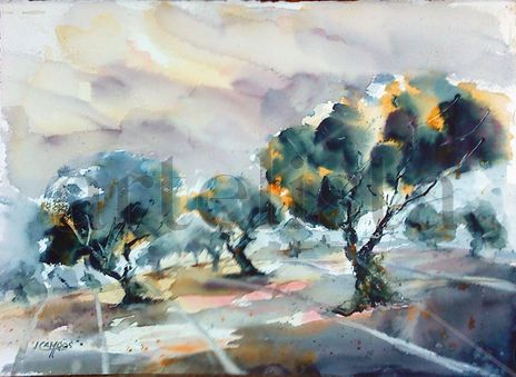 Olivos