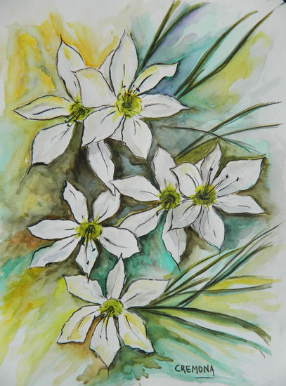 Estrella de Belén Watercolour Paper Floral Painting