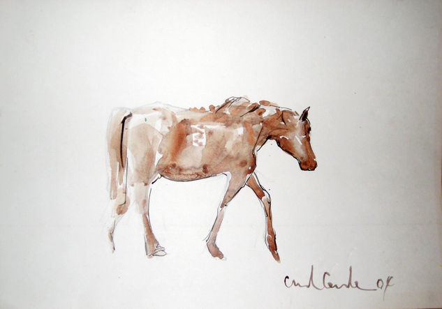 Caballo Watercolour Paper Animals