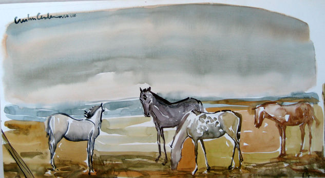 Caballos estudio Watercolour Paper Animals