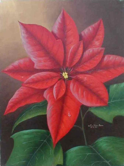 NOCHEBUENA Oil Canvas Floral Painting