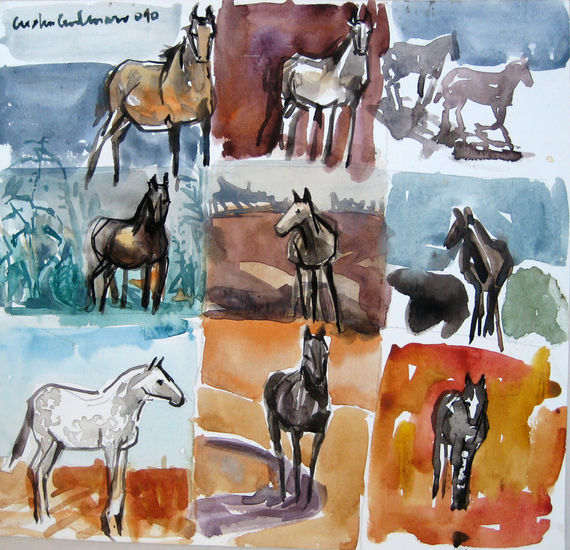 Caballos estudio dos Watercolour Paper Animals