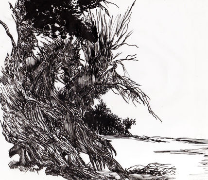 Ents