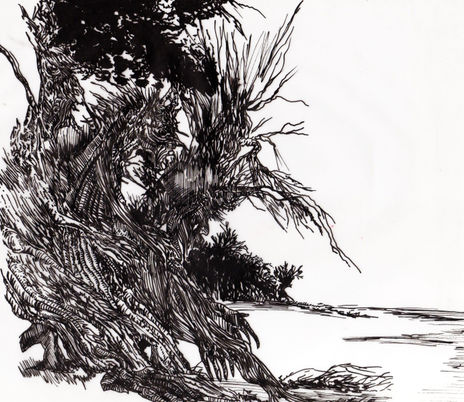 Ents