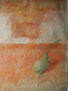 Escudo y Disculpa