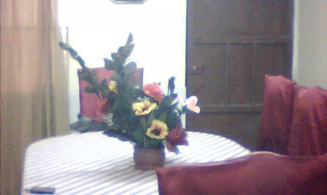 decor belleza
