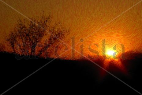 Paisaje 19