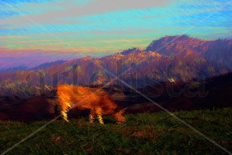 Paisaje 17