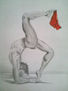 La acrobacia