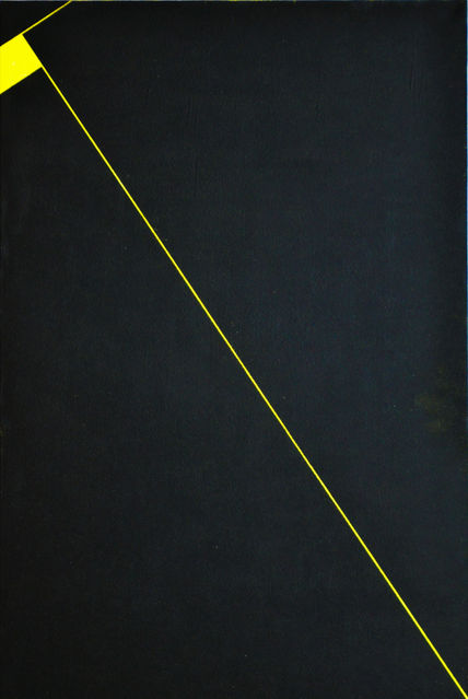 Estudio 2011