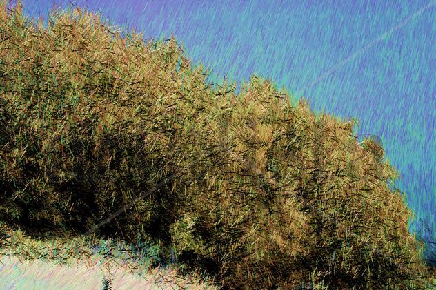 Paisaje 26