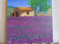 Campos de lavanda