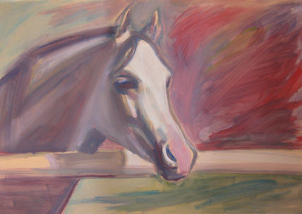 Caballo cercado