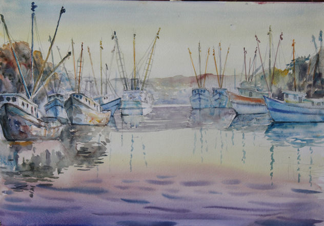 Barcos camaroneros