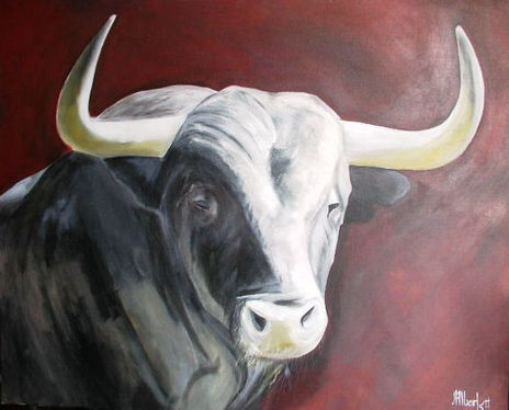 Toro 4