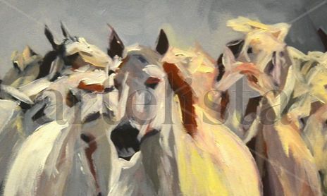 animales