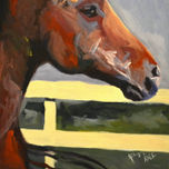 animales thumbnail 2