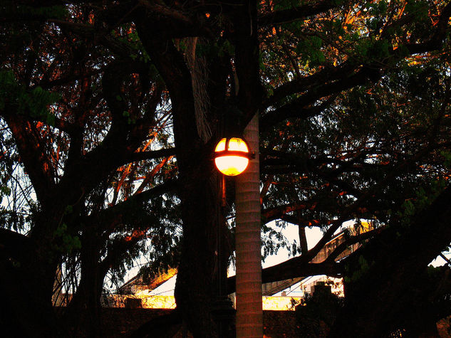 Farol Otras temáticas Color (Digital)