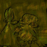 FÓSILES thumbnail 2