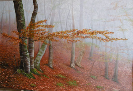 Luz en la niebla