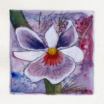Orquidea