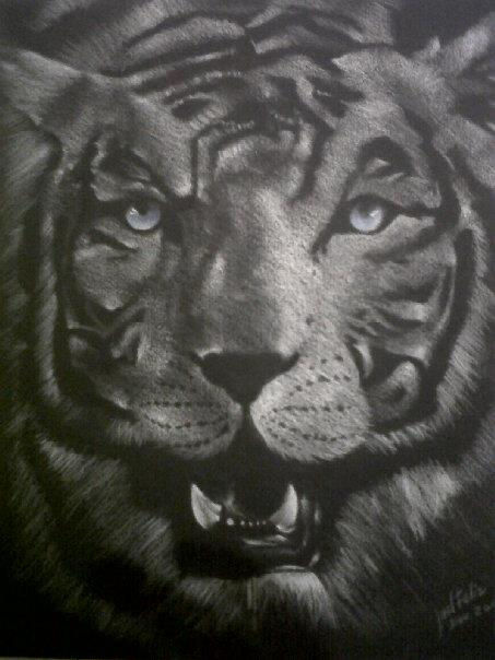 tigueres del licey