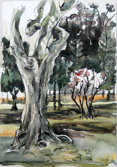 Arbol plaza Alberdi bis Watercolour Paper Landscaping