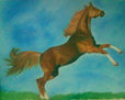 Caballo