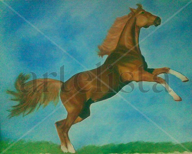 Caballo Oil Canvas Animals