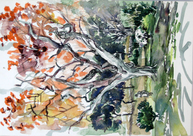 Señora y Plaza Alberdi Watercolour Paper Landscaping