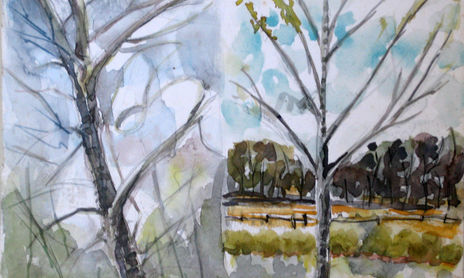 ARBOLES