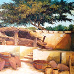 campiñas thumbnail 2