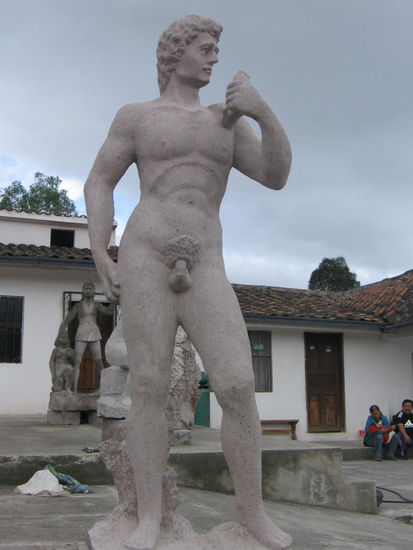 el david Piedra Figurativa