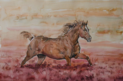Caballo
