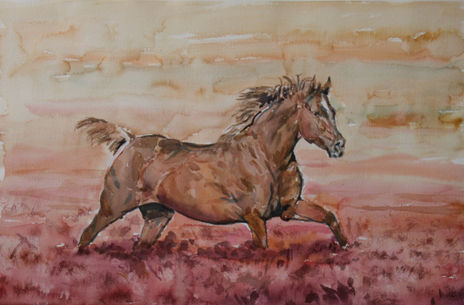 Caballo