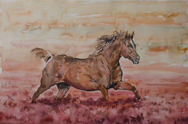 caballo Watercolour Paper Animals